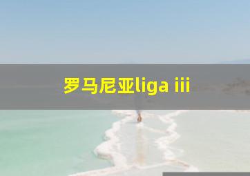 罗马尼亚liga iii